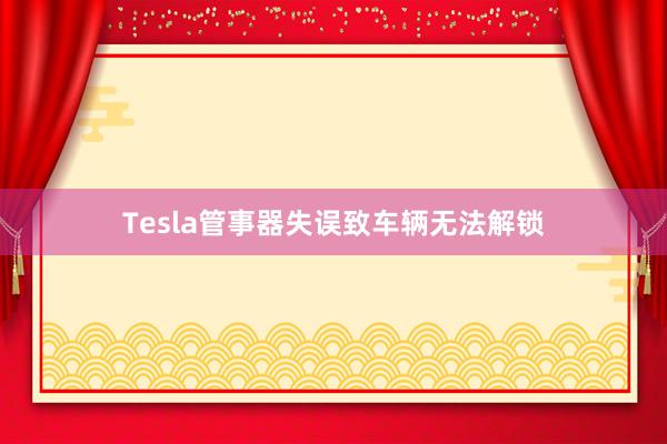 Tesla管事器失误致车辆无法解锁